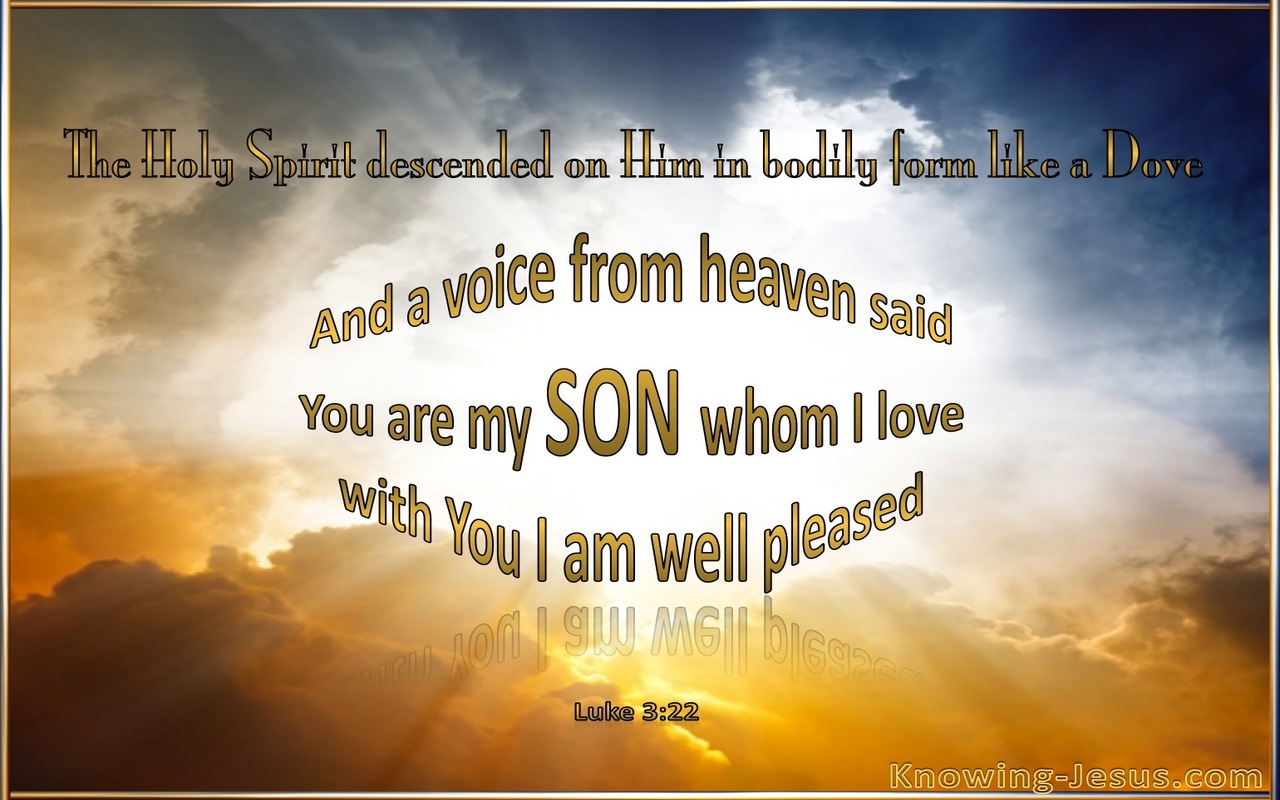 Luke 3:22 You Are My Beloved Son (gold)